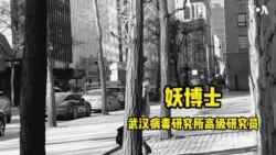 【美中对标】辉瑞自制新冠变种？美国人为何不炒作