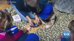 US-Based Nonprofit Helps Ukrainian Children Deal With War-Related Trauma