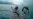 Dutch Teen Dies in Malaysia Diving Accident; Two Rescued