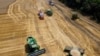 FILE - Farmers harvest with their combines in a wheat field near the village Tbilisskaya, Russia, July 21, 2021. Russia and Ukraine account for about a third of global wheat exports.