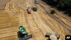 FILE - Farmers harvest with their combines in a wheat field near the village Tbilisskaya, Russia, July 21, 2021. 