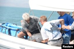 FILE - Scientists return a vaquita, a tiny stubby-nosed porpoise on the verge of extinction, into the ocean as part of a conservation project, in the Sea of Cortez, Baja California, Mexico October 18, 2017. (Semarnat/Handout via REUTERS)