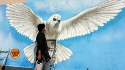 دہلی اسٹریٹ آرٹ: عوامی مقامات کو دل کش بنانے کی کوشش