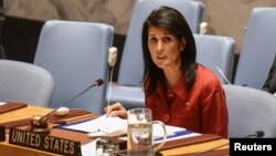  Nikki Haley 