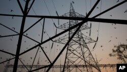 নয়াদিল্লির উপকণ্ঠে বিদ্যুতের টাওয়ারের চারপাশে পাখি উড়ছে। ১ মার্চ,২০১৬।