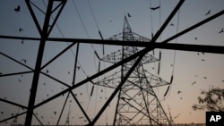 FILE - Birds fly around electric power towers, outskirts of New Delhi, March 1, 2016.