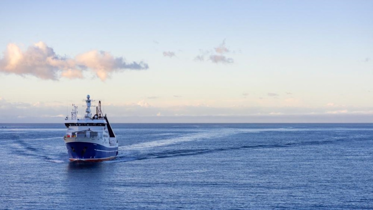 Un barco robótico para ayudar a medir los efectos en el mar del volcán Tonga