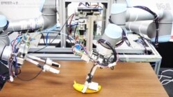 Japan Robot Peels Bananas Without Squashing the Fruit 