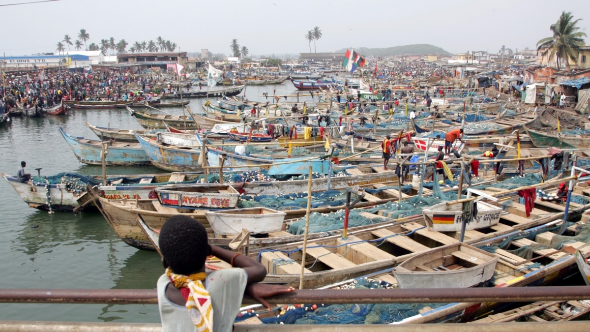 Fishy Business: Report Details Chinese Fleet's Illegal Operations in West  Africa