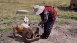 Aimara apasionada por lenguas nativas obtiene beca en EEUU