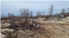 Trincheras que Ucrania dice que cavaron las tropas rusas en terreno radiactivo cerca de la planta nuclear de Chernóbil. [Foto: cortesía de Evgen Kramarenko]