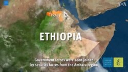 “ዘርኢኹም ካብዚ ቦታ ከነጥፍኦ ኢና፤” ተሓለቕቲ ትካላት ኣብ ምዕራብ ትግራይ ብዛዕባ ዝተፈጸመ ሰብኣዊ ግፍዒ ጸብጻብ ኣውጺአን