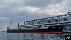 In this file photo, the ship Navi-Star sits full of grain since Russia's invasion of Ukraine began five months ago as it waits to sail from the Odesa Sea Port, in Odesa, Ukraine, July 29, 2022. (AP Photo/David Goldman, File)