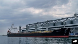 In this file photo, the ship Navi-Star sits full of grain since Russia's invasion of Ukraine began five months ago as it waits to sail from the Odesa Sea Port, in Odesa, Ukraine, July 29, 2022. (AP Photo/David Goldman, File)