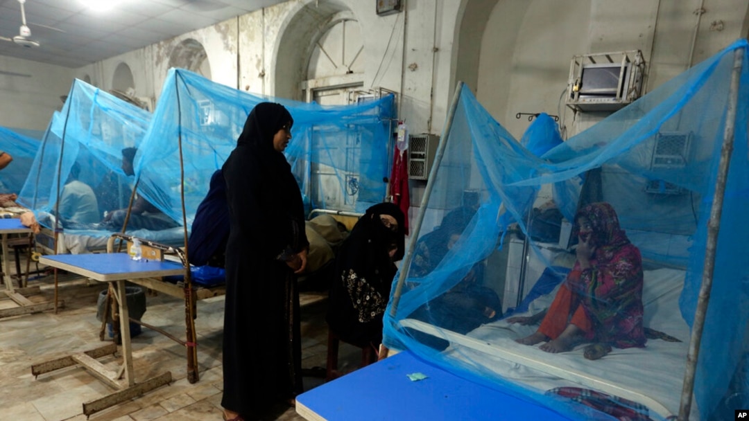Para penderita DBD dirawat di bangsal isolasi di sebuah rumah sakit di Karachi. Pakistan mengerahkan ribuan dokter dan paramedis di lokasi banjir terparah untuk menahan penyebaran wabah penyakit yang telah menewaskan ratusan orang di antara korban banjir. (Foto AP/Fareed Khan)