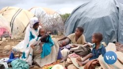 Somalia Scrambles to Avert Famine