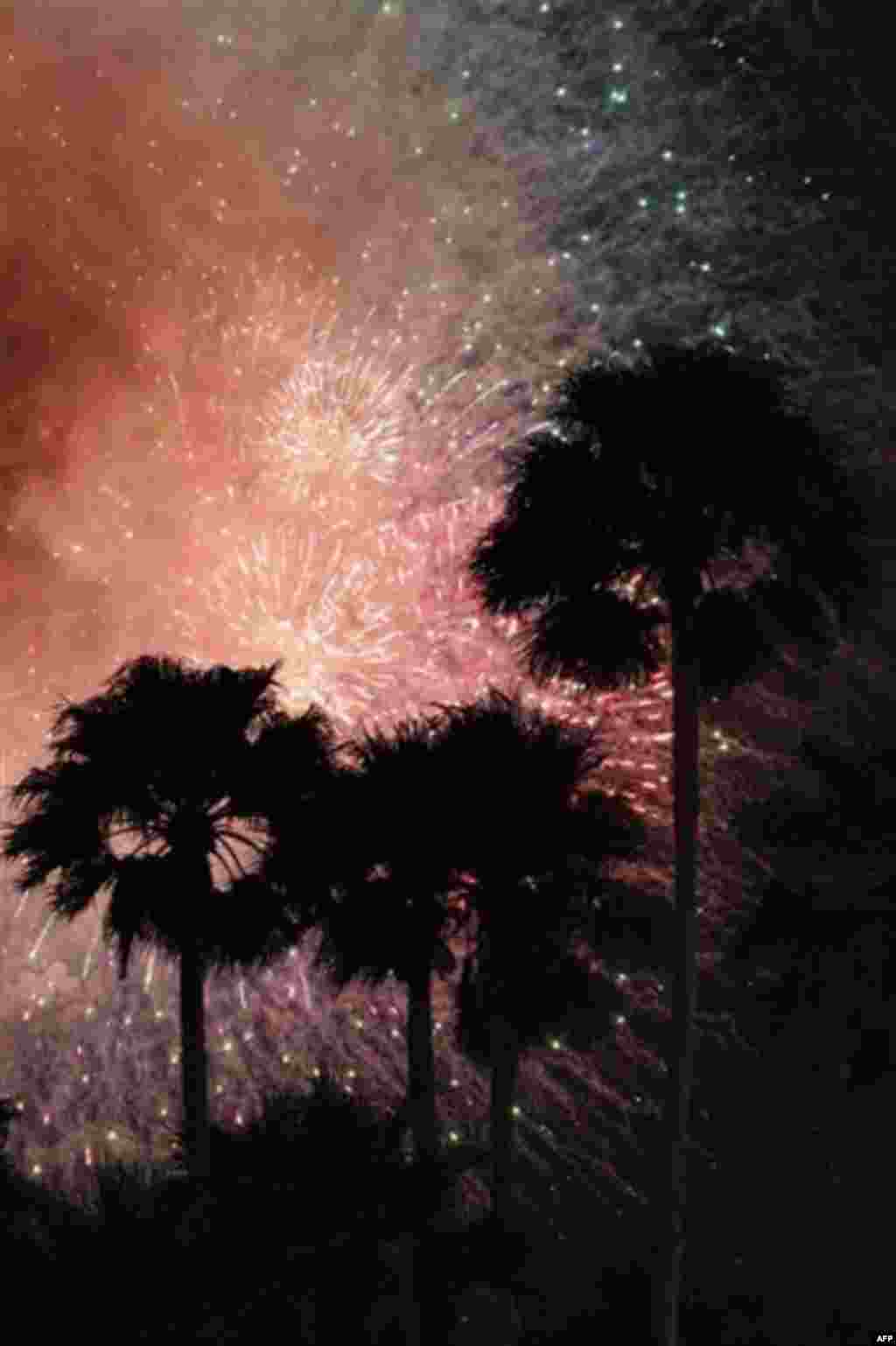 Palm trees are silhouetted during a fireworks display after a baseball game between the Florida Marlins and the Philadelphia Phillies, Monday, July 4, 2011, in Miami. The Phillies defeated the Marlins 1-0. (AP Photo/Wilfredo Lee)