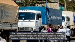In Ethiopia, a Humanitarian Truce for Tigray Aid