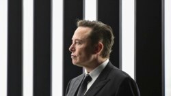 EE.UU. Junta Directiva Twitter Elon Musk actualización