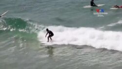 SHORT VIDEO: Շնաձուկը դելֆին չէ, մի վստահեք նրան