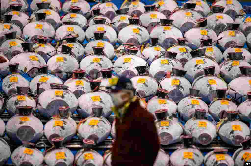 A man stands in front of lined up frozen tuna during the New Year&#39;s auction at Toyosu fish market in Tokyo, Japan.