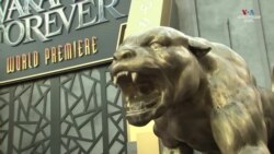 Մենք պետք է վառ պահենք նրա հիշատակը_1.mp4