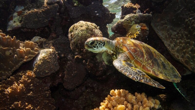 Australia Bans More Single-Use Plastics