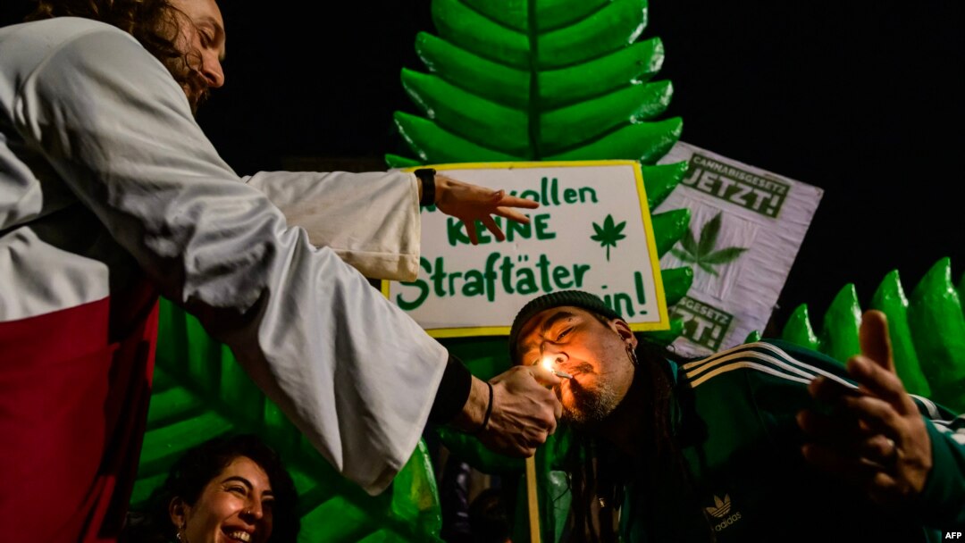 Seorang pria menyalakan api untuk seorang perokok ganja di daun pohon ganja tiruan berukuran raksasa, dalam aksi damai di luar Gerbang Brandenburg di Berlin, menandai berlakunya UU ganja yang kontroversial di Jerman, 1 April 2024 (John MACDOUGALL / AFP)