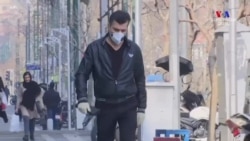 Կորոնավիրուս չկա միայն Անտարկտիդայում