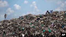 FILE - A man who scavenges for a living takes a rest next to a Marabou stork on top of a mountain of garbage at the dump in the Dandora slum of Nairobi, Kenya, Nov. 12, 2015.