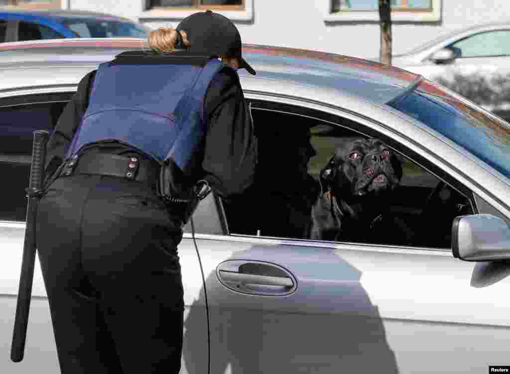 A police officer talks to a driver as a dog watches from a car in Kyiv, Ukraine.