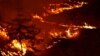Kebakaran Hutan di California Utara Bisa Meluas ke Selatan