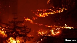 Flames from the Caldor Fire burn through the Eldorado National Forest near Kyburz, California, Aug. 21, 2021.