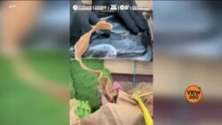  ٹیرف لگانے سے امریکہ کو کیا فائدہ ہوگا؟