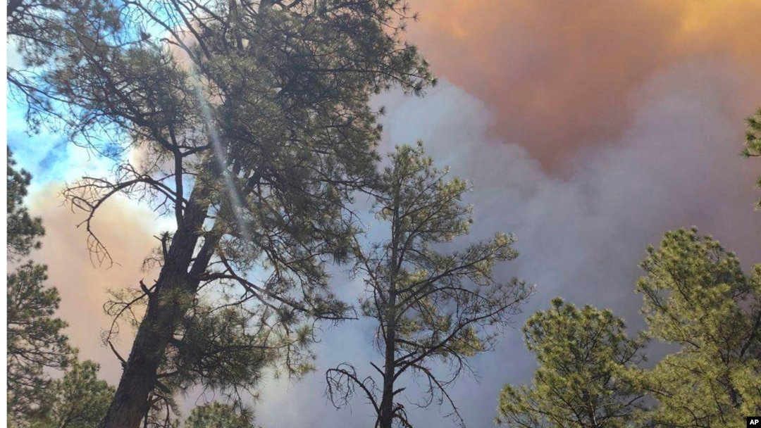 El humo de un incendio se eleva por encima de los árboles en Ruidoso, Nuevo México, el lunes 17 de junio de 2024. 