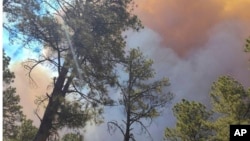 El humo de un incendio se eleva por encima de los árboles en Ruidoso, Nuevo México, el lunes 17 de junio de 2024. 