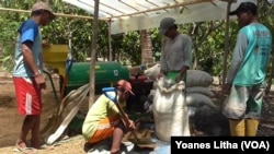 Petani Poso belajar pupuk organik (Foto: VOA/Yoanes Litha)