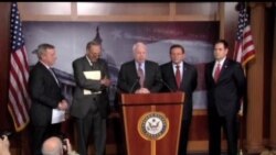2013-01-29 美國之音視頻新聞: 美國國會參議員推出移民改革提案