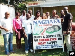 International agricultural researcher Danielle Nierenberg [center, in sunglasses] with farmers in Ghana. She spent two years traveling throughout Africa in search of the continent’s environmentally friendly successes in food production