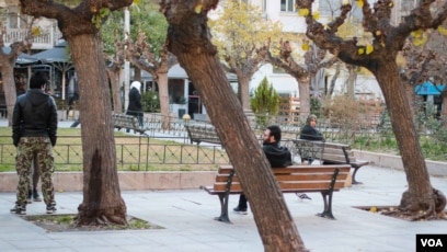 Seks yangicha arapskiy