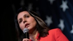 Tulsi Gabbard