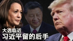 10/30【美国热搜】过去三年 亿万富豪人数减少1/3；刺激规模，习近平的决定受制于美国大选；万圣节最强段子：cosplay胡锦涛；惊悚：银行的钱不翼而飞；釜山领事馆冷漠对侨民；放羊女痛斥政府不作为；学习强国成了约炮软件；黄俄孝子参加俄军后的抱怨