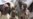 WHO: Five More Regions in Southern Somalia on Brink of Famine