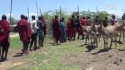 Kenya Donkeys China -- USAGM