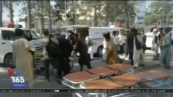 اخبار شامگاهی