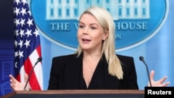 کارولین لیویت، سخنگوی کاخ سفید