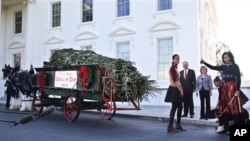 Michelle Obama dan kedua putrinya menyambut kedatangan pohon Natal di depan Gedung Putih, Jumat (23/11).