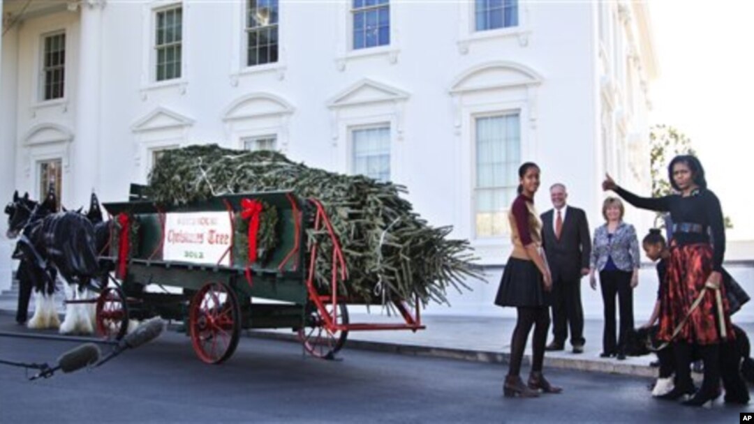 Michelle Obama dan kedua putrinya menyambut kedatangan pohon Natal di depan Gedung Putih, Jumat (23/11).