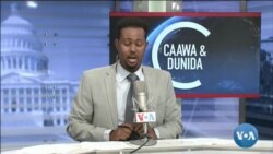 Caawa iyo Dunida