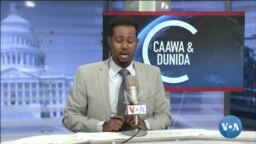Caawa iyo Dunida